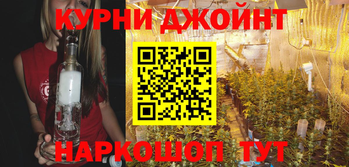 Бошки марихуана MAZAR Великий Новгород